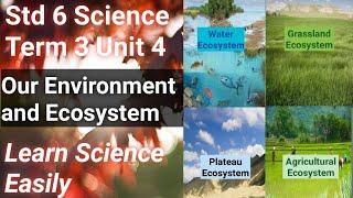 Our Environment and Our Ecosystem| Types of Ecosystem| Producers and Consumers| Learn Science Easily