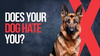 7 Signs Your Dog Dislikes You!