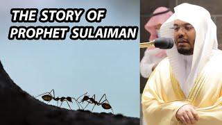 The Story Of Prophet Sulaiman | Sheikh Yasser Dossary | Amazing Recitation From Surah Naml