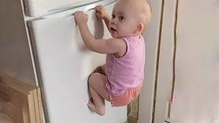 When Your Baby Is the Family Comedian – Laugh Out Loud Nonstop! - Part 28