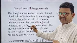 Blood protozoan l Anaplasmosis l dr Umar khan