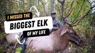 Alberta Archery Elk - Biggest Bull I've ever encountered in the wild - 32 Yards!