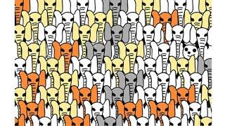 Find The Hidden Panda! Brain Out Level 50 Solution #shorts #brainout