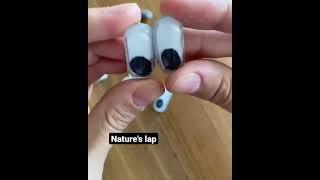 old pill into eyes | diy toy eyes | Nature's lap| craft