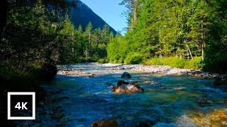 4K Alpine Mountain River Nature Sounds | Gentle Stream Nature Ambience for Relaxation, Stress Relief