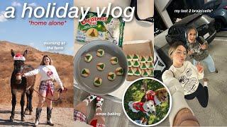 a holiday day in my life *living alone*  | feeding the donkeys, movies night, xmas nails