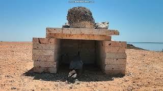 Nesting Sooty Falcon: Red Sea Egipt - a gdzie jedzonko ?   2024 09 20