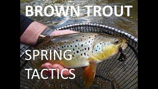 SPRING TACTICS FOR BROWN TROUT. ART MERK FLY FISHING ADVENTURES