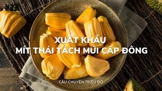 Xuất khẩu mít Thái tách múi cấp đông sang Nhật Bản | Câu Chuyện Triệu Đô - Podcast #34