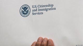 What are undocumented immigrants' legal options?