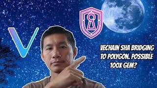 Vechain Safehaven(SHA) is bridging DEX to Polygon! 100x gem in the making?