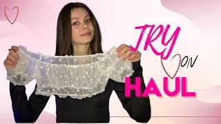 Lisa Fox Try-On Haul  | Two T-shirt 