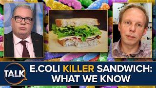 E. Coli Linked To Killer Sandwiches | EXPERT Explains All