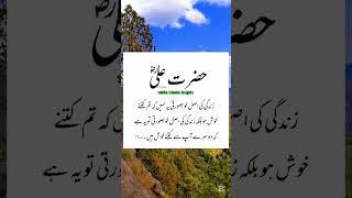 Zindagi ki asal khubsurti | hazrat Ali quotes | Urdu Islamic quotes |Islamic shorts | viral video