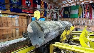 sawing a ash log with no worm holes # 304