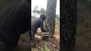 ПОСТРОИЛ ДОМ С ПОМОЩЬЮ БЕНЗОПИЛЫ