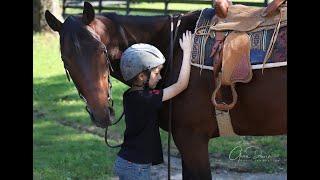 Race. Rehab. Renew.  Second Stride finding and fostering the potential of every horse in our care.