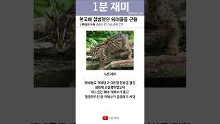 [1분 재미] 한국에 침범했던 외래종들 #shorts