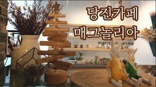 [당진카페] 카페리뷰 | 현지인이 소개하는 당진 카페 '매그놀리아' | 정우튜브