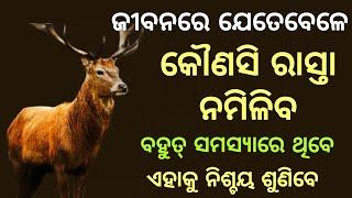 YOU WILL NEVER LOSE HOPE IN YOUR LIFE। Motivational Story of A Dear। HOPE।