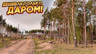 Всего 5 УЧАСТКОВ в пригороде Воронежа по ШИКАРНОЙ цене! Я себе купил!