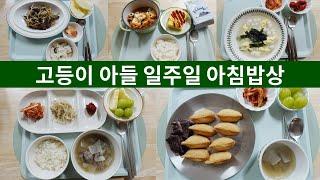 집밥 | 아침밥상 | 고등이 아들 일주일 아침밥상(등교밥상) | 예비고3 아침밥상 |소고기숙주볶음|김치찌개, 계란말이 | 조랭이떡국 | 소고기뭇국 | 유부초밥