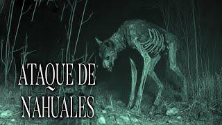 NAHUALES Atacaban El Rancho De Mis Abuelos Durante La Noche Historias De Terror - REDE