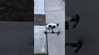 DJI Inspire 1 Landing Gears in action