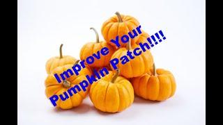 Start Growing Pumpkins: Establishing and Improving Your Pumpkin Patch