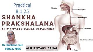 Practical Laghu Shankhprakshalana 8 1 25 M.A  M.Sc Yogic Science Dr. Rachana Jain