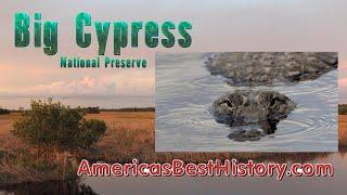 Minute Walk in History - Big Cypress National Preserve