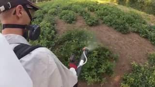 STIHL SR 430 oprysk w mahoni [GoPro]