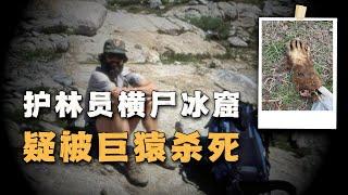 一颗臼齿和两段神秘录音，让人猜测他被巨猿杀死，护林员遗体在冰窟中被找到