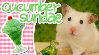  Cucumber Sundae | HAMSTER KITCHEN 