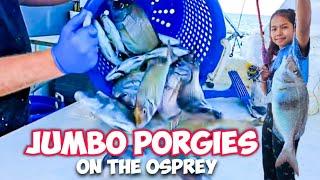 JUMBO PORGY Fishing with Family on the Osprey  - Port Jefferson, NY