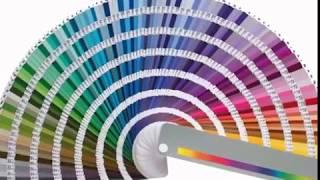 Институт цвета Pantone назвал главный оттенок 2018 года