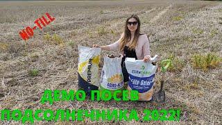 Сею Демо поле с Подсолнечником 2022! Тяжелый посев!