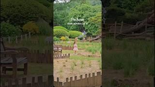 피크닉 하기 좋은 포천 서운동산  #8월여행지추천 #아이랑여행 #경기도여행 #포천가볼만한곳