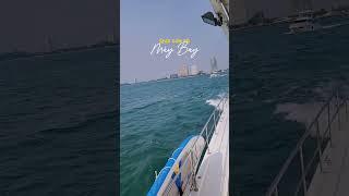 [엉딩팡팡]파타야 선셋 요트 투어!️ | Pattaya Sunset Yacht Tour!️ #Pattaya #Yacht #Shorts