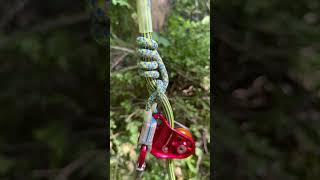 Ever use a traversing hook?  #treelife #treeworker #arborist