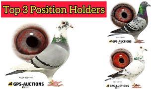 Top 3 Position Holder Racing Pigeons at Erupa Master One Loft