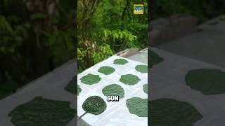 Why do the Chinese eat moss? #Moss #shorts