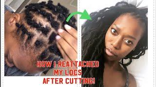 HOW I REATTACHED MY NATURAL LOCS! | NO GLUE, NO SEWING, NO BRAIDING