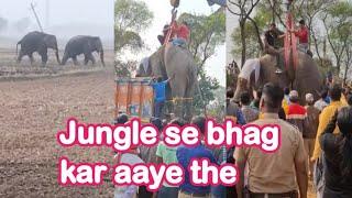 Jungle Se Bhag aaye the Hathi Gaon Aur Police walo ne Pakad liya hai~incident of Joydeb West Bengal