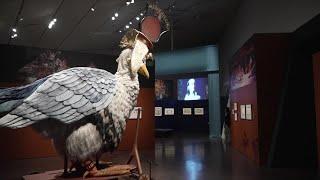 Denver Art Museum unveils 'Where the Wild Things Are' exhibit