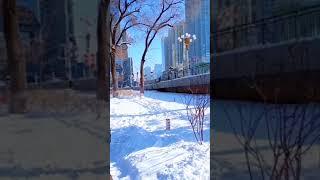 Uyghur: Winter in Urumqi of East Turkestan of Uyghur Nation in Central Asia ئۇيغۇر  Уйгур