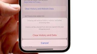 How To Delete Search History On Safari! (2023)