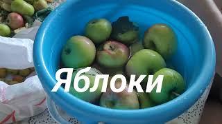 Яблочный нектар 