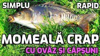 Momeală cu căpșuni pentru pescuit la crap și caras