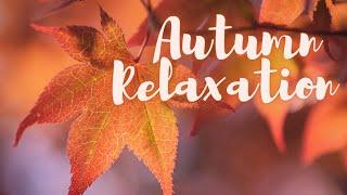 Autumn relaxation - The best relaxation music #relax #music #deeprelaxation